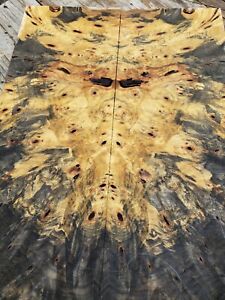 Buckeye burl guitar top wood or bass figured wood for luthier supply 
