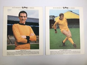 Large Typhoo Tea Card  Wolves x 2 Player cards  Derek Dougan & Mike Bailey