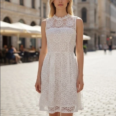 Женское мини-платье BB Dakota размер 4 с вышивкой белое покрой с широкой юбкой без рукавов - Изображение 1 из 4