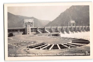 Postal RPPC Fish Ladders Bonneville Dam North Side WA-OR Columbia River - Imagen 1 de 2