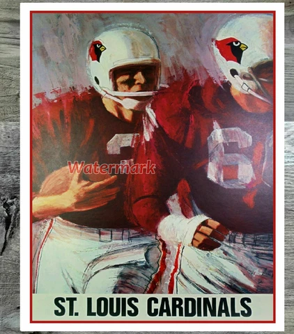 Vintage NFL St. Louis Cardinals Color REPRINT Poster Print 16 X 20 Photo Poster Cover