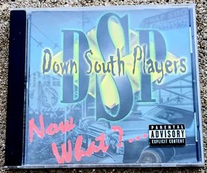 DOWN SOUTH PLAYERS Now What? CD RAP HIP HOP - Imagen 1 de 1