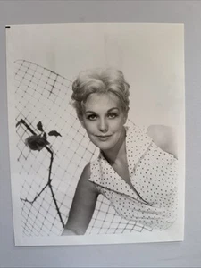 Foto de prensa Kim Novak retrato original 8" x 10" - Imagen 1 de 1