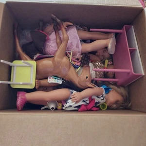 Muñecas y accesorios generación 12 libras, caballo, ropa zapatos escritorio - Imagen 1 de 8