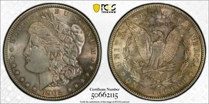 1902 P Morgan Silver Dollar PCGS MS-64 - Foto 1 di 1