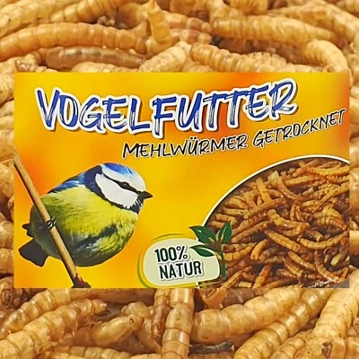 Vogelfutter 20 kg Mehlwürmer getrocknet Vögel Wildvogelfutter Koifutter Nager - Bild 1 von 3