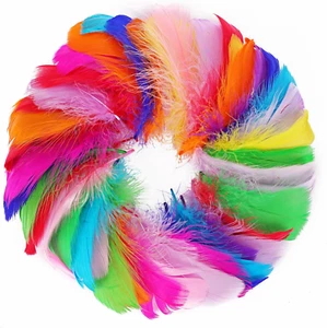 500Pcs 3-5 Inches Colorful Feathers for Crafts DIY Wedding Home Party Decoration - Picture 1 of 7