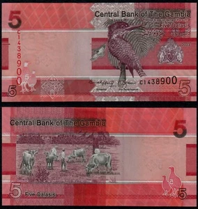 GAMBIA 5 DALASI (P37) 2023 UNC - Picture 1 of 1