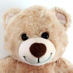 Build A Bear Workshop Classic Teddy Bear Plush Sound Sings Let It Go 16" - Picture 1 of 5