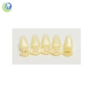 DENTAL POLYCARBONATE TEMPORARY CROWNS #66 (LAS) LOWER ANTERIORS SHORT 5/PACK - Picture 1 of 5