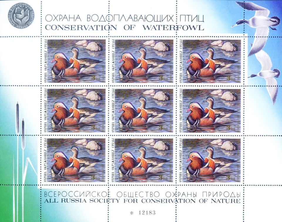 Permisos de caza 1989. Foto 1 de 1