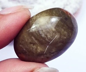 Piedra preciosa suelta 100 % natural de jaspe de selva tropical certificado 21,00 quilates con regalo gratis - Imagen 1 de 9