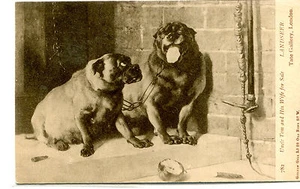Vintage Postcard DOGS painting by Landseer UNCLE TOM & HIS WIFE FOR SALE - Picture 1 of 2