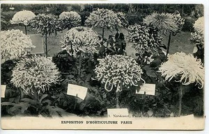 CP 75 PARIS - Exposition d'Horticulture - Picture 1 of 1