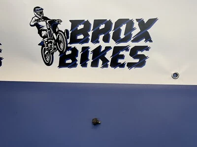  Yamaha IT125 IT 125 1980 brazo elevador embrague forma especial tornillo Foto 1 de 4