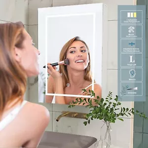 LED Medicine Cabinet Bathroom Lighted Mirror Storage Unit Dimmable Touch Switch - Picture 1 of 11