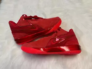 Nike Zoom Lebron NXXT Gen Ampd James Gang Red Size 8.5 Shoes FJ1566-600 - Picture 1 of 5