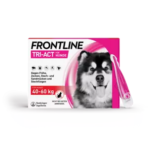 FRONTLINE Tri-Act für Hunde 40 - 60 kg, 6 Pipetten , PZN 16359921 - Bild 1 von 1