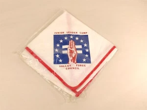 ✅ Pañuelo para el cuello BSA Junior Leader Camp De colección Boy Scout Valley Forge Council - Imagen 1 de 4
