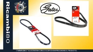 Cinghia Poly-V GATES 6PK1708 AUDI BMW BUICK CHEVROLET CITROËN FIAT FORD LANCIA - Foto 1 di 1