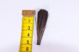 Schöner Marderbart Länge: ca 5 cm - Bild 1 von 1