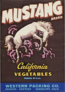 Vintage Colored Label Mustang Brand California Vegetables Wild Mustang NOS - Foto 1 di 1