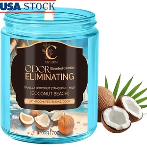 Coconut Beach Odor Eliminating Candle Soy Wax Aromatherapy Home Fragrance New - Picture 1 of 10