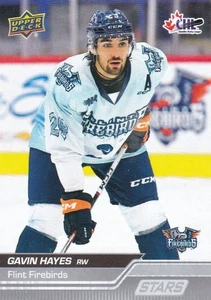 2023-24 Upper Deck CHL Stars Gavin Hayes #329 - Picture 1 of 1