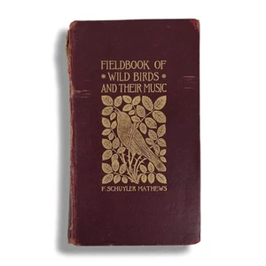 Fieldbook of Wild Birds & Their Music Color Plates F Schuyler Mathews 1905 Buch - Bild 1 von 10