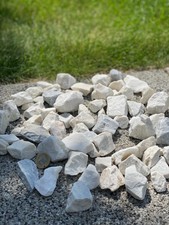 Splitt 8 16 günstig kaufen eBay