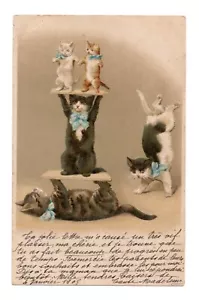 Cpa. Gatti Umanizzati. Cat. HELENA MAGUIRE Senza Firma - Foto 1 di 2
