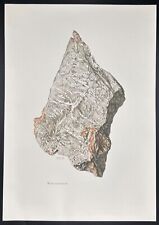 1969 Caspari vintage geology print: Wollastonite, mineral, crystal, gemstone