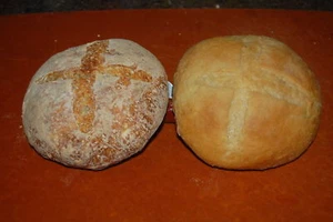 @ SAN FRANCISCO SOURDOUGH STARTER yeast flour mix sally TOP SELLER + recipes @ - Picture 1 of 6