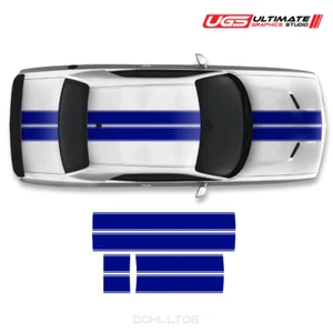 Dodge Challenger Top Dual Graphics - Picture 1 of 8