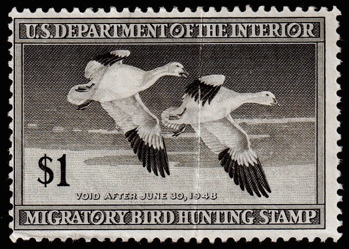 United States Hunting Permit Stamp Scott RW14 (1947) Mint H F, CV $27.50-33.00 C - Image 1 of 1