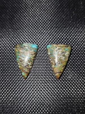 RARE!!! Odontolite Turquoise Dinosaur Gem Bone Cabochon Set 21.50 carats - Image 1 of 4