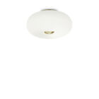Ceiling Classic IN White Glass 3 Lights Design DL0235