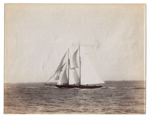 Antique orig 1896 Photo Classic Yacht Schooner QUISSETTA Gardner + Cox TS Marvel - Picture 1 of 9