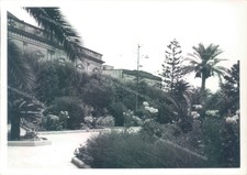 a786 - squinzano - lecce - bozza fotografica
