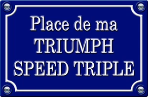 PLACE DE MA TRIUMPH SPEED TRIPLE MOTORRAD BIKER - 29cm AUFKLEBER STICKER PR236 - Bild 1 von 1