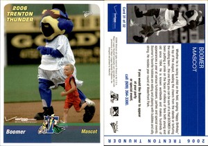 Boomer 2006 MultiAd Trenton Thunder #31 Card *AutographDen*