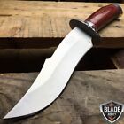 10" Stainless Steel Wood Handle Hunting Knife Survival Skinning Bowie Fishing