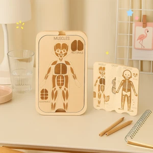 Jigsaw Design Anatomy Organ Puzzle Human Structure Toy Montessori Classroom - Picture 1 of 9