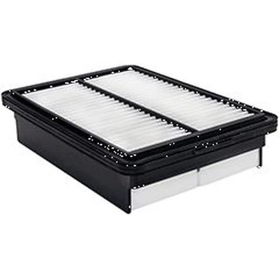 Baldwin PA10086 面板空气元件适用于精选 17-23 现代起亚型号 — 第 1/4 张图片