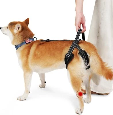 Pet Dog Support Harness Rear Lifting Harness for Back Legs Reflective Dog Sling - Image 1 of 4