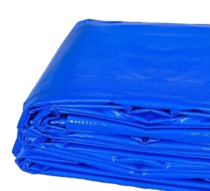Heavy Duty Waterproof Tarp 20x20 PVC Vinyl Tarpaulin Blue Ground Cover - Picture 1 of 7