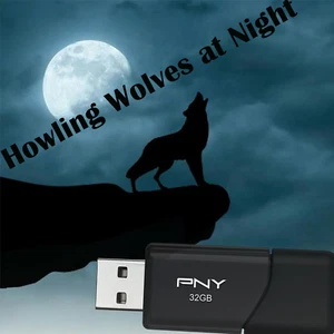 Howling Wolves at Night (Entspannungs- & Schlafhilfe) auf 16GB USB - Bild 1 von 1