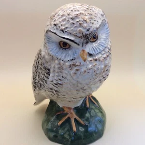 Desmond Cooper Vintage Owl Figurine - West Country - Picture 1 of 12