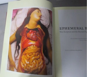 EPHEMERAL BODIES: Wax Sculpture & Human Figure  R. Panzanelli  2008   Hardcover - Picture 1 of 6