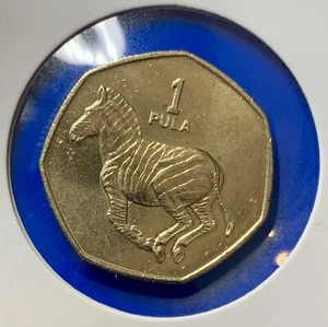 1991 Botswana 1 Pula Zebra Animal World Africa Coin - Picture 1 of 3